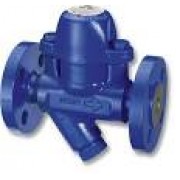 Steam Trap